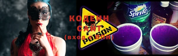 ПСИЛОЦИБИНОВЫЕ ГРИБЫ Горно-Алтайск