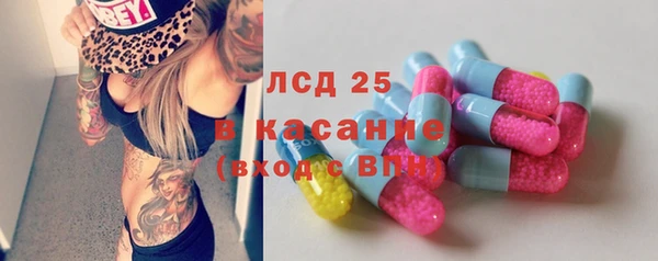 ПСИЛОЦИБИНОВЫЕ ГРИБЫ Горно-Алтайск
