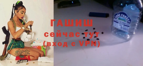ПСИЛОЦИБИНОВЫЕ ГРИБЫ Горно-Алтайск