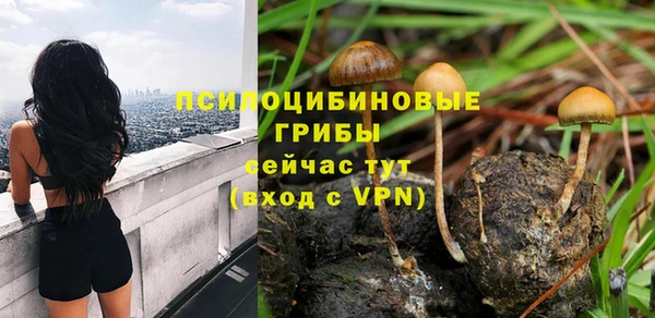 мяу мяу кристалл Горняк