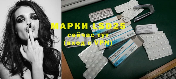 ПСИЛОЦИБИНОВЫЕ ГРИБЫ Горно-Алтайск