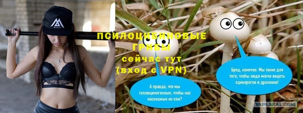 мяу мяу кристалл Горняк