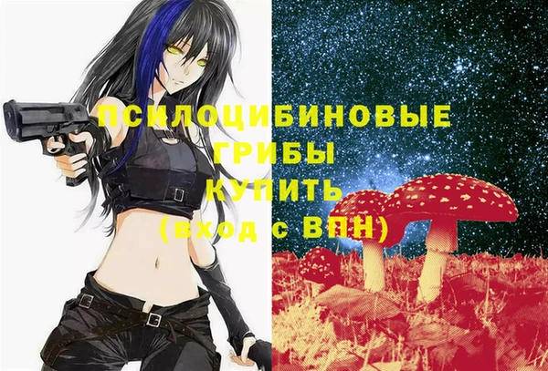 ПСИЛОЦИБИНОВЫЕ ГРИБЫ Горно-Алтайск