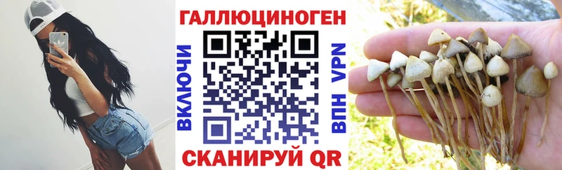 Купить  Нижние Серги  Галлюциногенные грибы GOLDEN TEACHER 